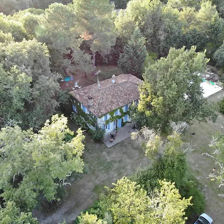 L'airial, Moustey